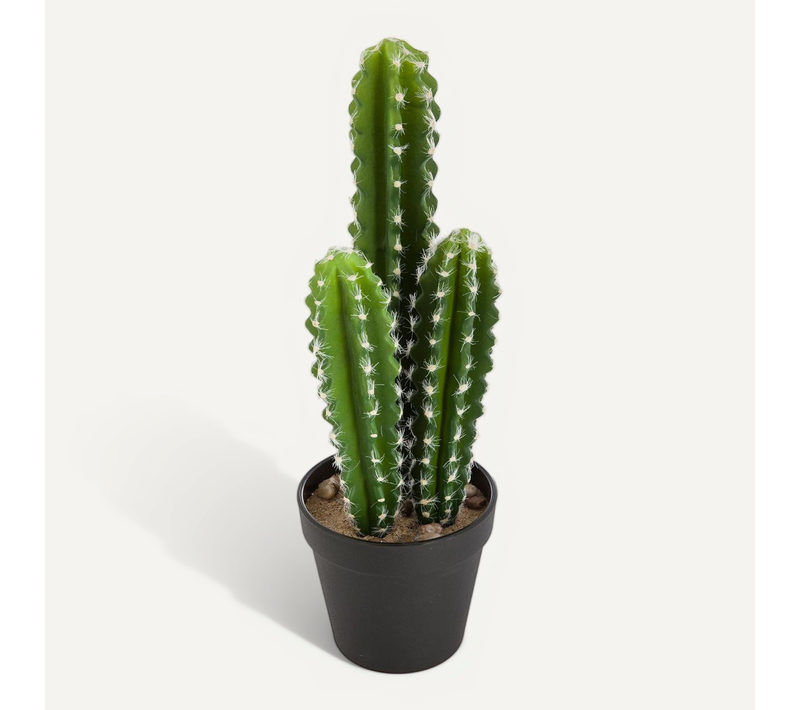 Plante Artificielle Cactus En Pot H 38 Cm