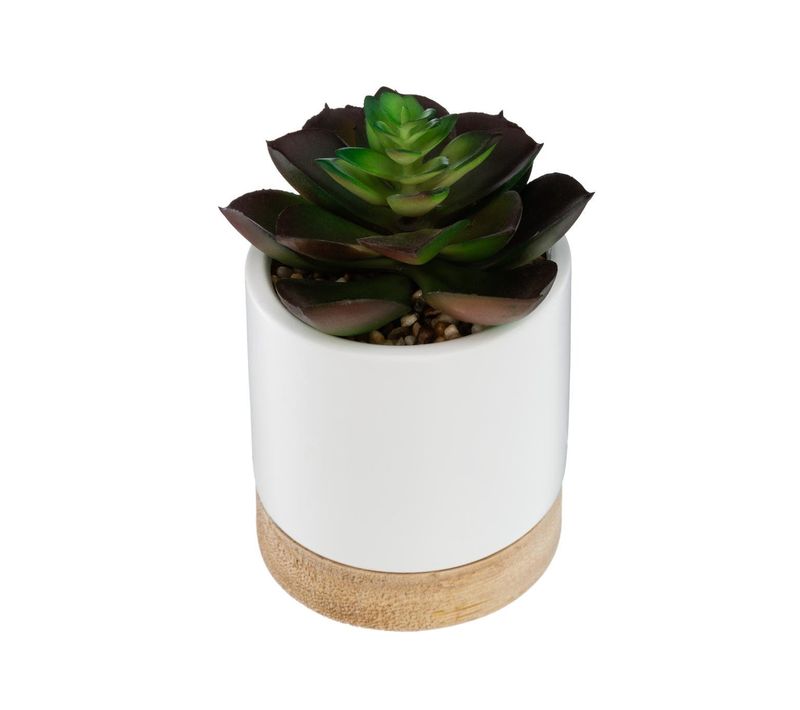 Plante Artificielle Succulente Pot Céramique Et Bois