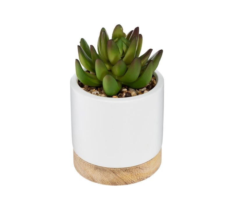 Plante Artificielle Succulente Pot Céramique Et Bois