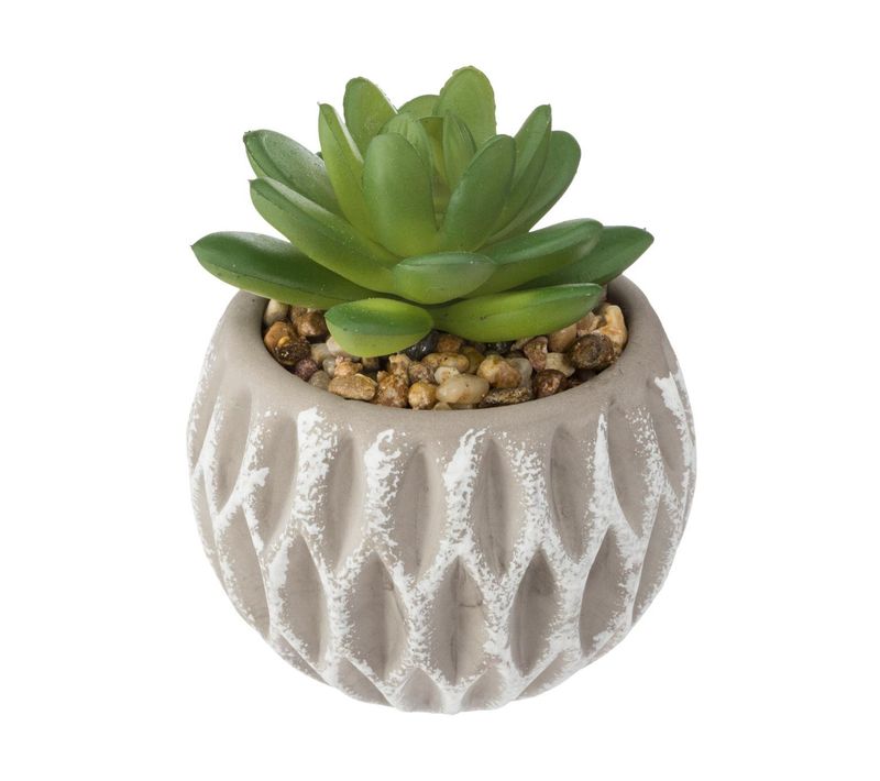 Plante Artificielle Succulente En Pot D 8 X H 9 Cm