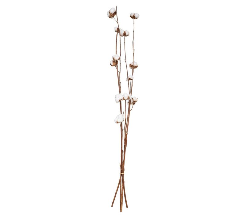 Fleurs Séchées Naturelles H100cm