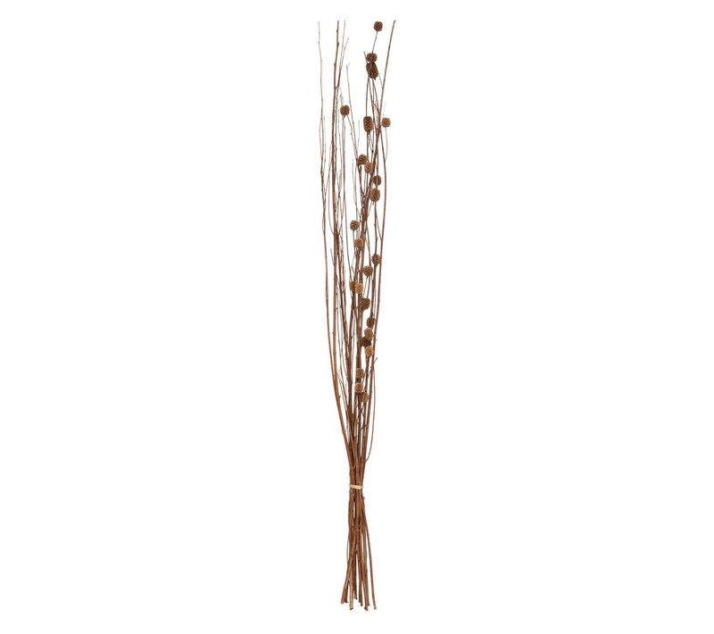 Fleurs Séchées Naturelles H100cm