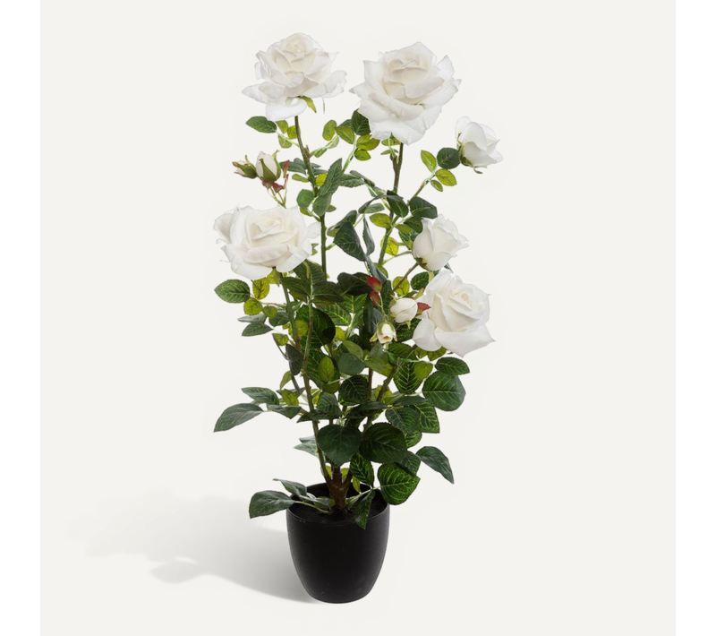 Plante Artificielle Rosier Velours En Pot H 74 Cm