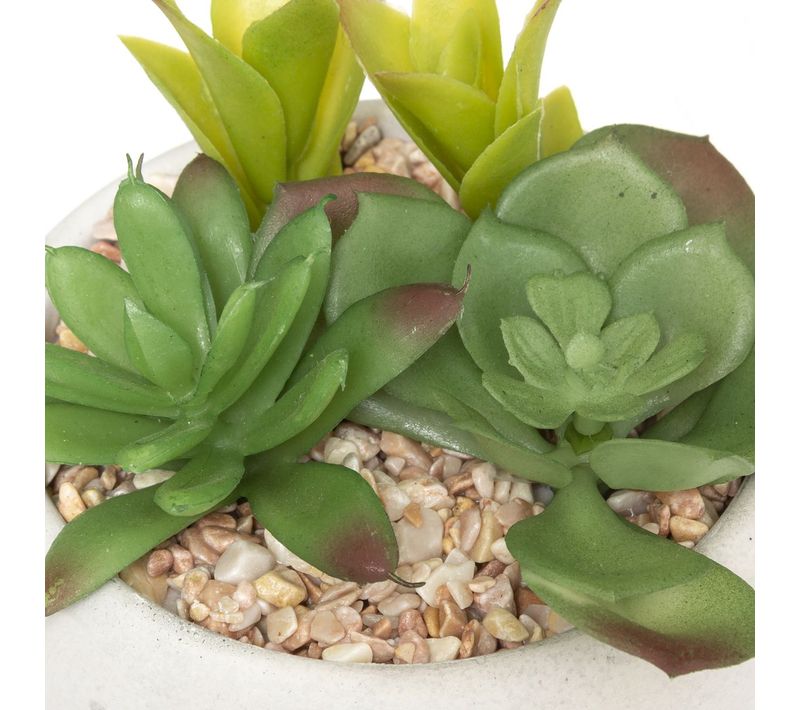 Plante Grasse Artificielle En Pot