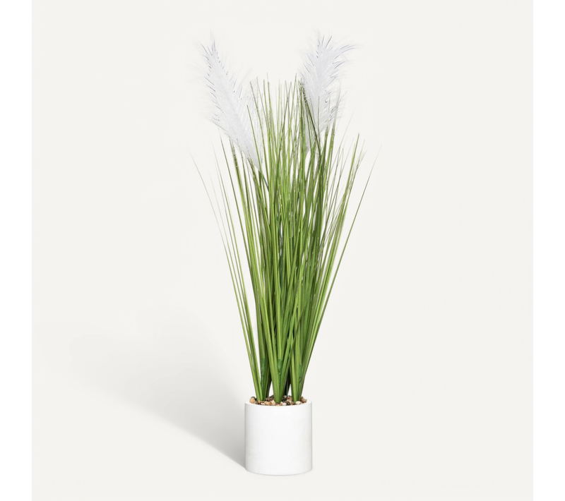 Plante Artificielle "plumeau" Pot Ciment H70cm