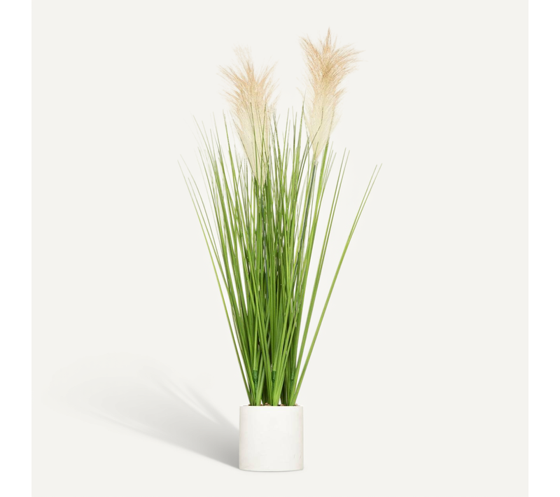 Plante Artificielle "plumeau" Pot Ciment H70cm