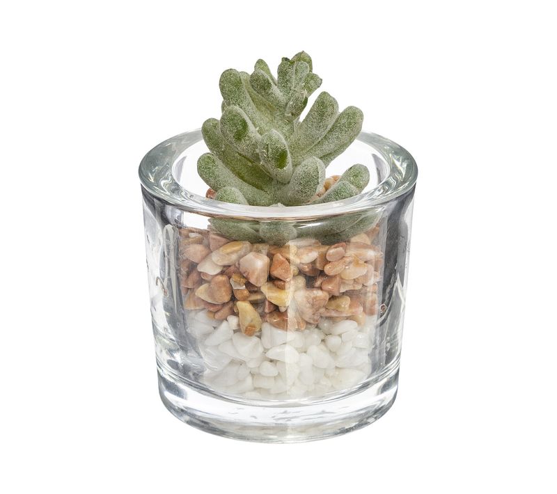 Plante Grasse Artificielle Pot En Verre D 6,5 X H 10 Cm