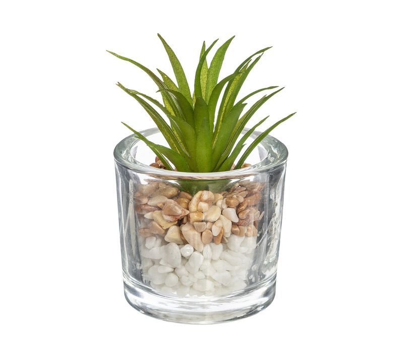 Plante Grasse Artificielle Pot En Verre D 6,5 X H 10 Cm