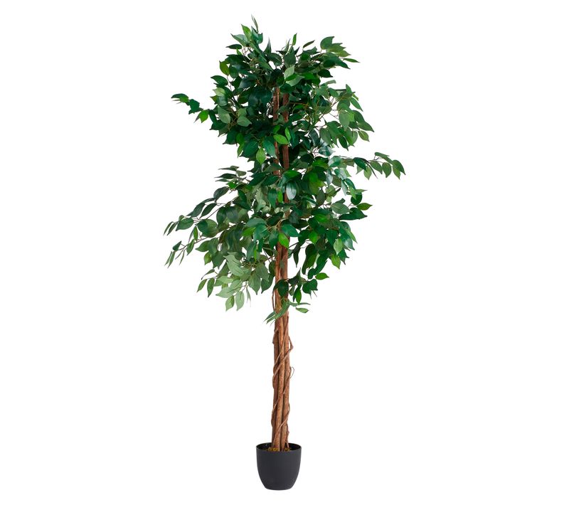 Plante artificielle H180 cm FICUS Noir / Vert