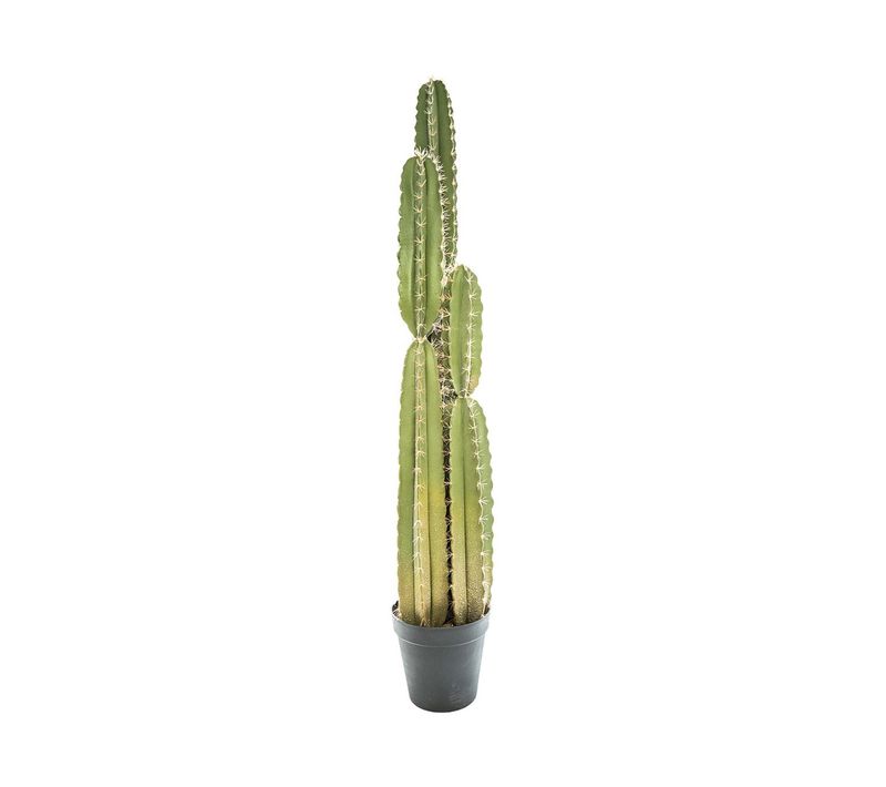 Plante Artificielle Cactus Pin Dans Son Pot H 185 Cm