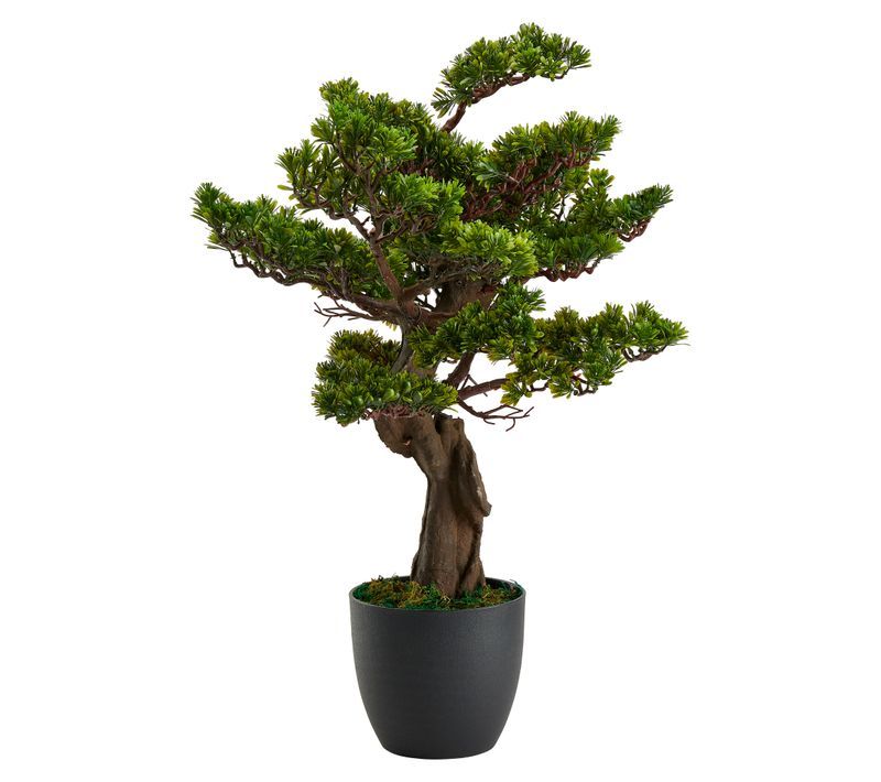 Plante artificielle H80 cm BONSAI Noir / Vert