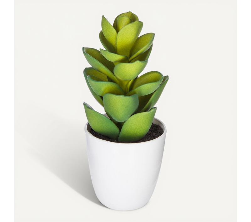 Plante Artificielle Cactus En Pot H 18 Cm