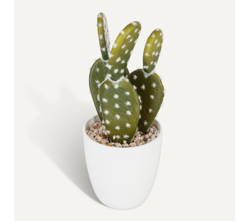 Plante Artificielle Cactus En Pot H 18 Cm