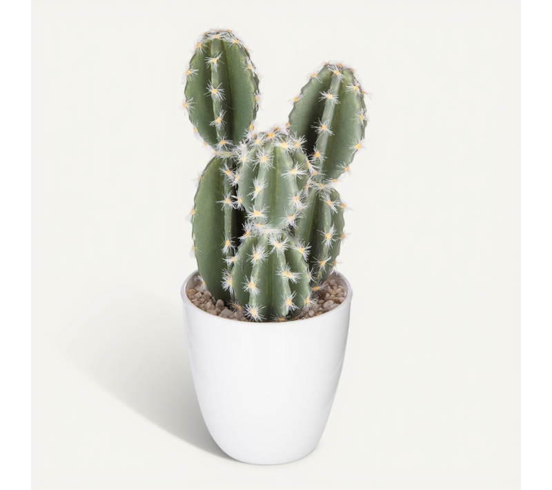 Plante Artificielle Cactus En Pot H 18 Cm