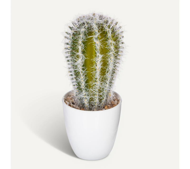 Plante Artificielle Cactus En Pot H 18 Cm