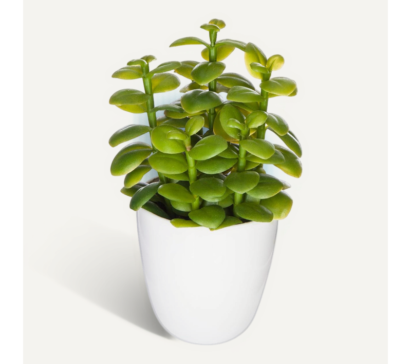 Plante Artificielle Cactus En Pot H 18 Cm