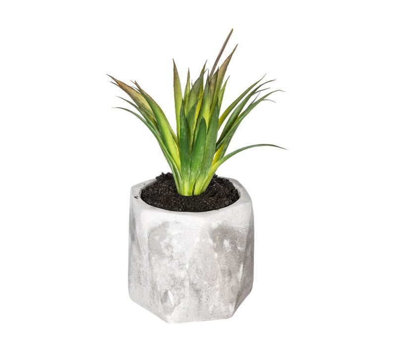 Plante Grasse Artificielle En Pot H 14 Cm