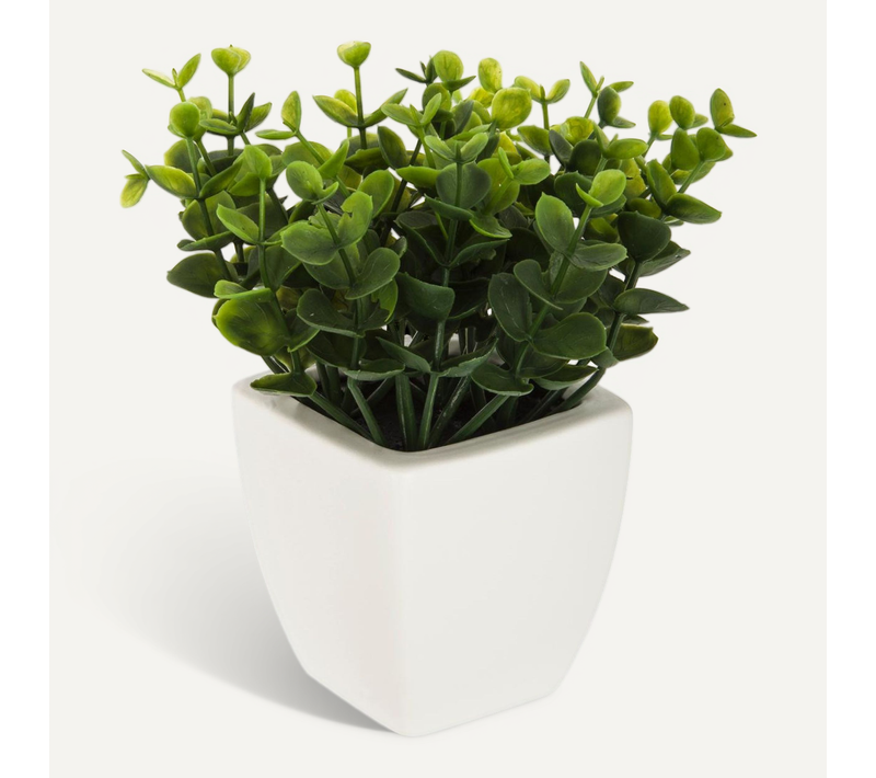 Plante Artificielle Pot En Céramique H 15 Cm