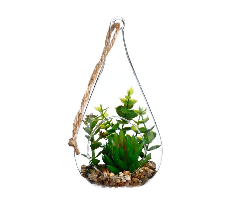 Plante + Goutte En Verre H19.5
