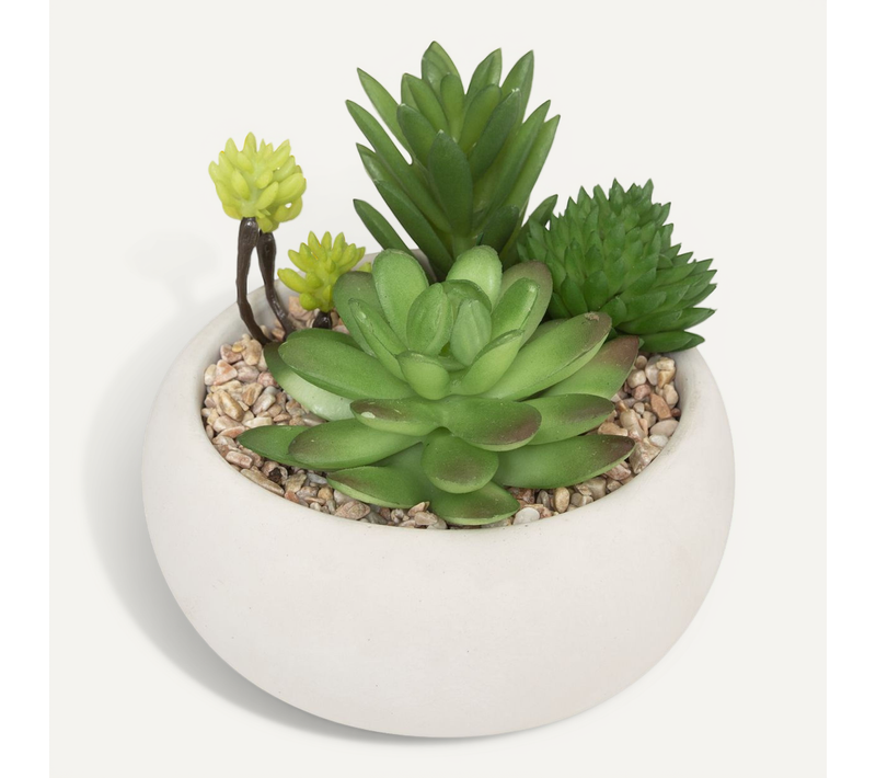 Plante Grasse Artificielle En Pot