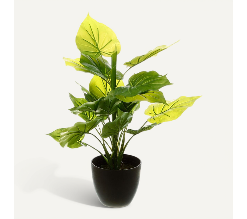 Plante Verte Artificielle En Pot H 45 Cm