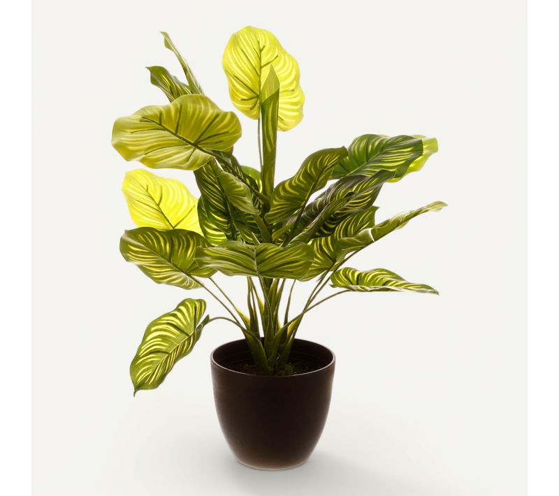 Plante Verte Artificielle En Pot H 45 Cm