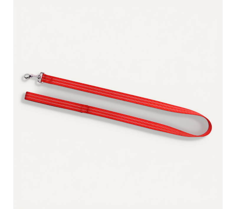 Laisse Pour Chien "couture Réfléchissante" 120cm Rouge