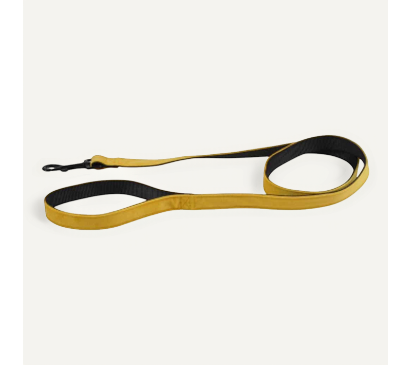 Laisse Pour Chien "cosy Golden" 120cm Jaune