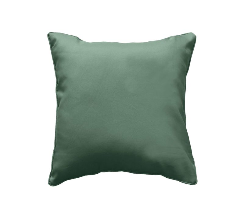 Coussin Déco 40x40 Cm – Polyester Uni – Déhoussable – Cèdre Chic