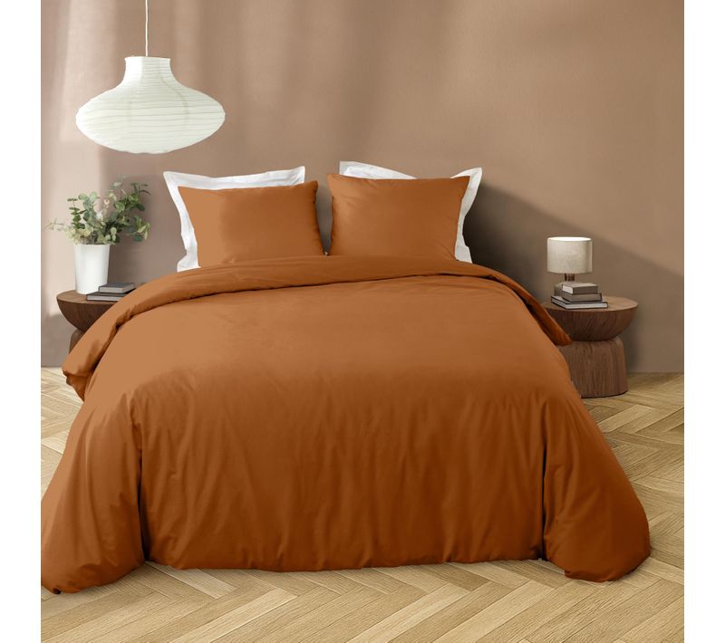 Parure De Lit 3 Pièces En Microfibre Unie Lavée Housse + Taies - 240x220 Cm - Marron Clair