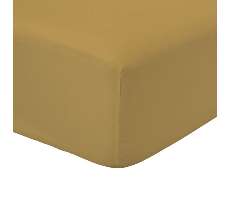Drap Housse 2 Personnes Uni Coton Essential 160x200 Cm Marron