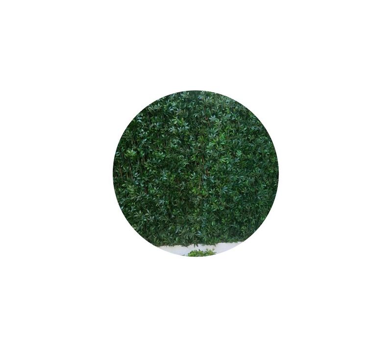 Treillis En Bois De Saule Et Feuilles De Vigne Vierge Artificielles (1 X 2 M)