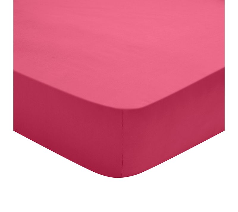 Drap Housse Studio Coton Fuschia 180 X 200 Cm Rose