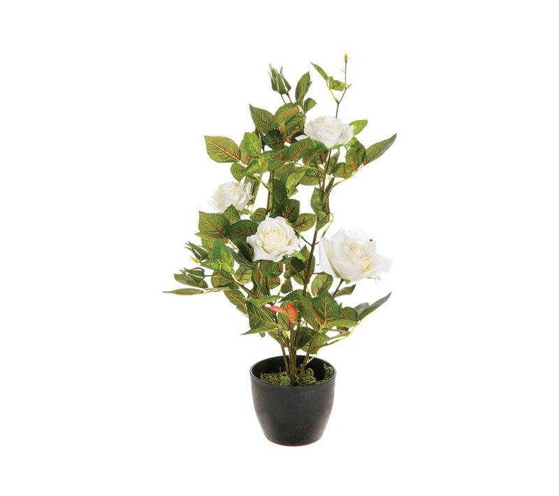 Rosier Artificiel En Pot - H. 50 Cm - Blanc