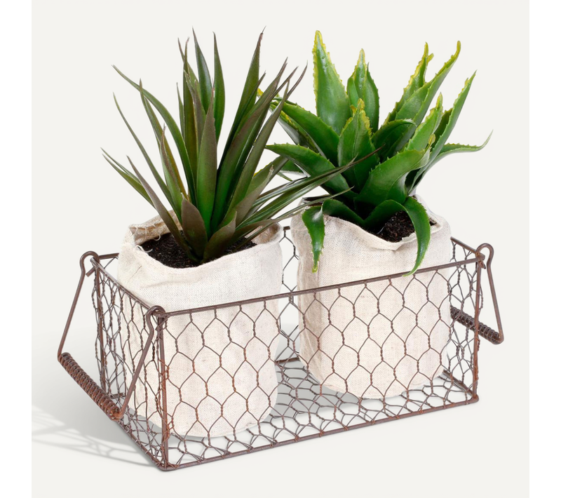 2 Aloe Vera Artificielles En Panier