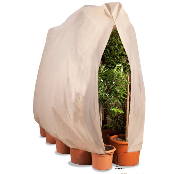 Housse D'hivernage Pour Plante Et Arbuste 120 X 180 Cm