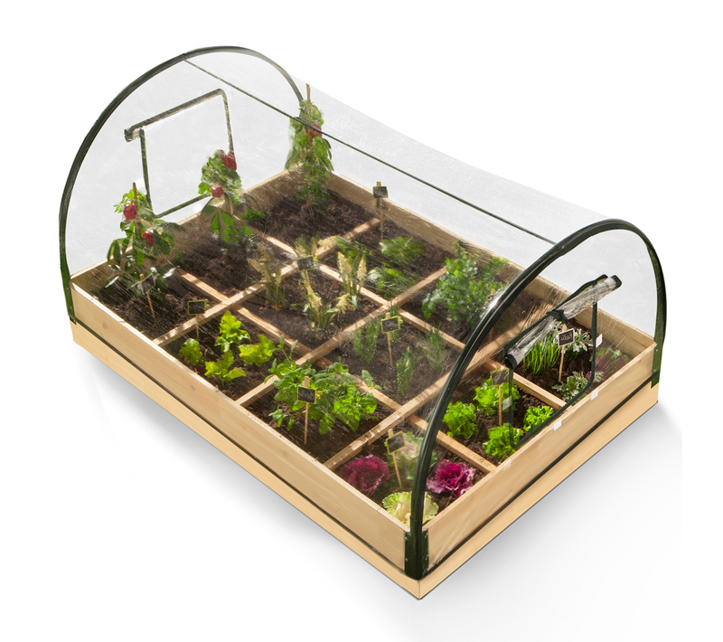 Carré Potager 12 Compartiments + Housse Serre Châssis