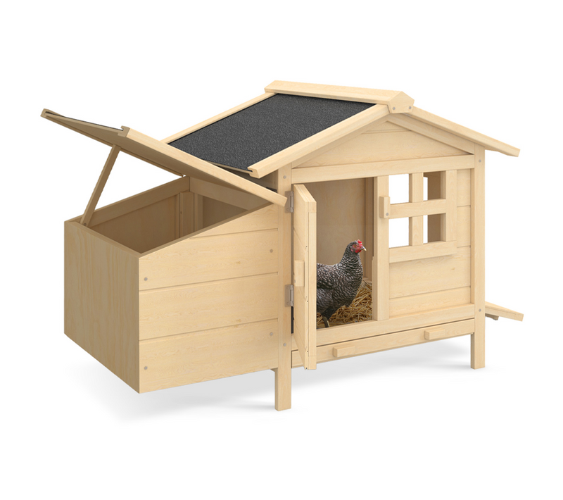 Poulailler Sur Pilotis Avec Pondoir En Bois