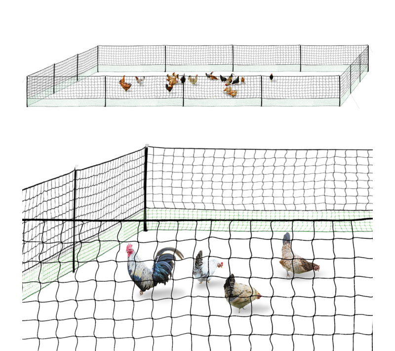 Kit Clôture Filet à Poules 50 M Avec Porte 15 Piquets Double Pointe