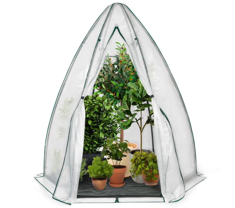 Serre D'hivernage Dôme 160 X 160 X 180 Cm Balcon Et Terrasse