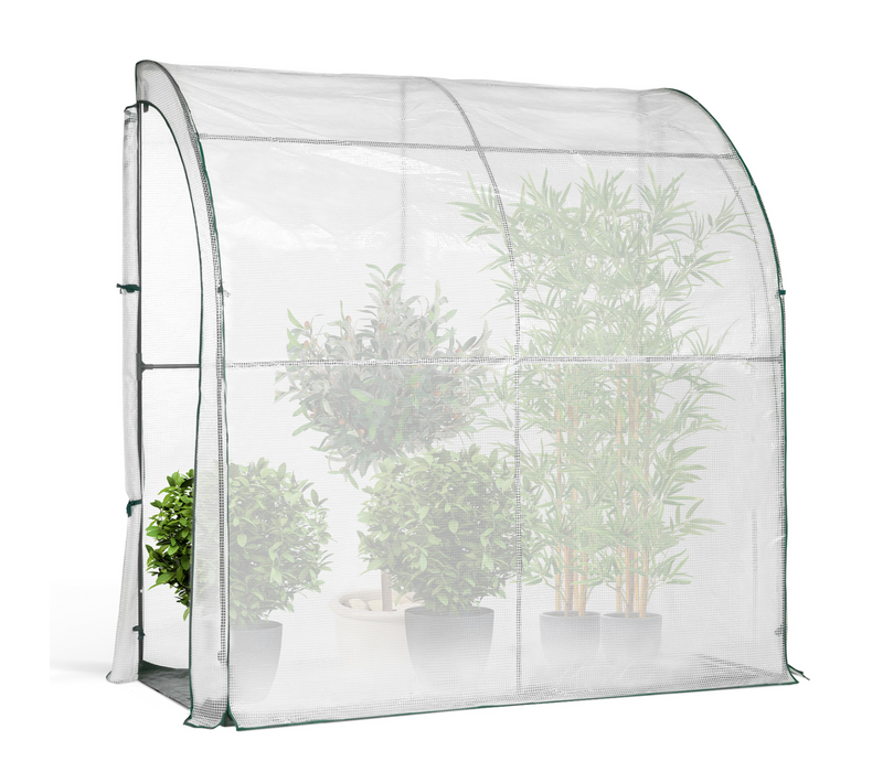 Serre D'hivernage Murale Adossée 200 X 80 X 160 Cm Balcon Et Terrasse