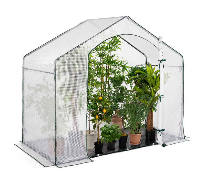 Serre D'hivernage Maison 200 X 80 X 160 Cm Balcon Et Terrasse