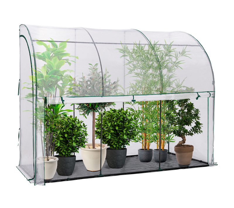 Serre D'hivernage Murale Adossée 300 X 80 X 160 Cm Double Ouverture Balcon Et Terrasse