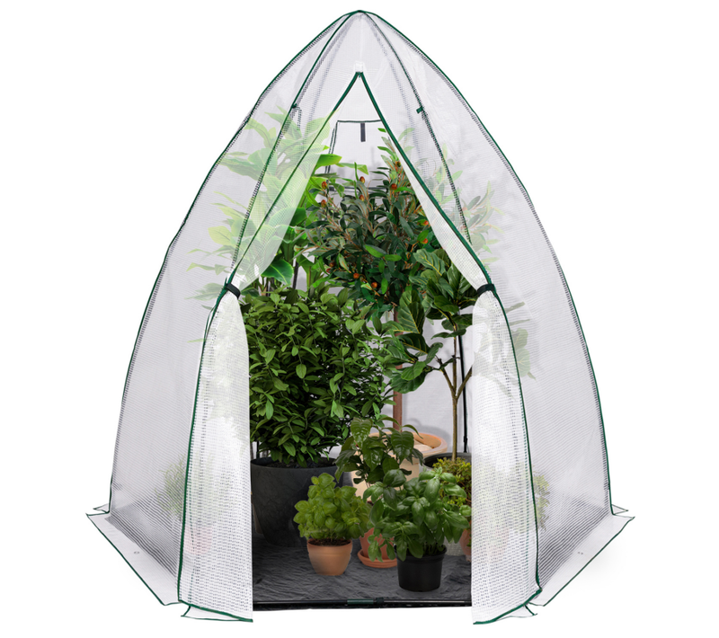 Serre D'hivernage Dôme Maxi Format 250 X 250 X 200 Cm Balcon Et Terrasse