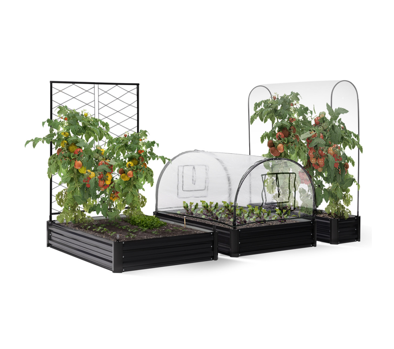 Kit Complet 3 Bacs Métal Modulables Carrés Potager Et Serre à Tomates + Treillis + Housse