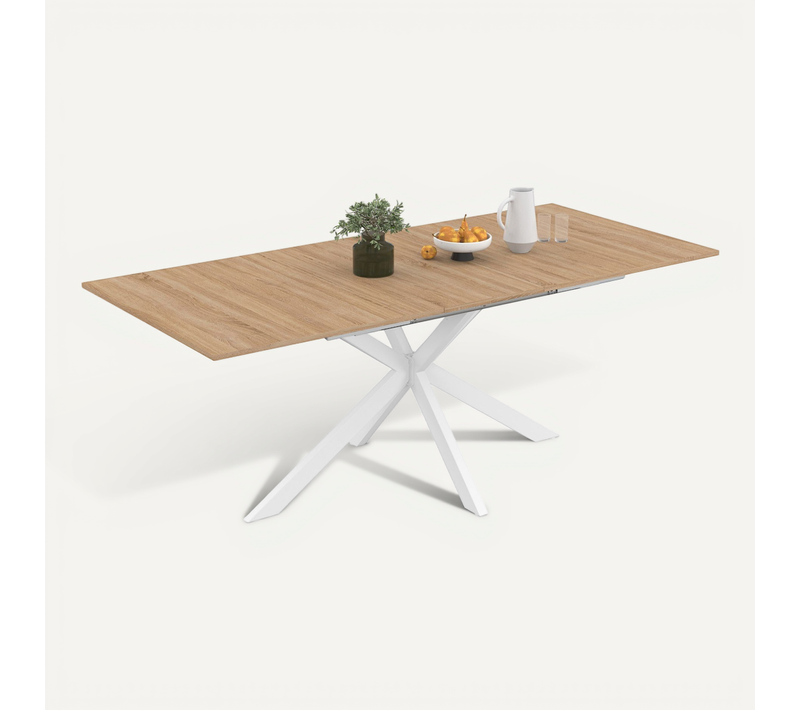 Table à Manger Extensible Rectangle Alix 6-10 Personnes Bois Et Blanc 160-200 Cm