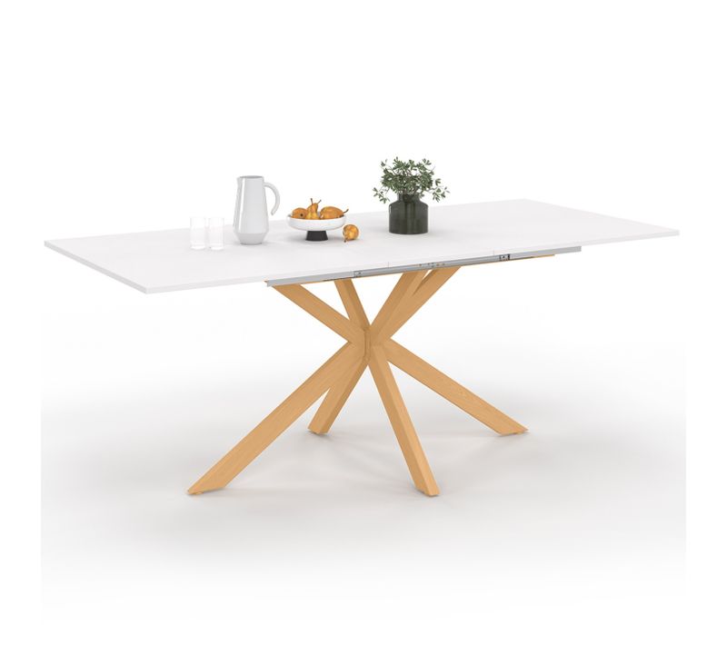 Table à Manger Extensible Rectangle Alix 6-10 Personnes Pied Araignée Bois Et Plateau Blanc Gisele 1