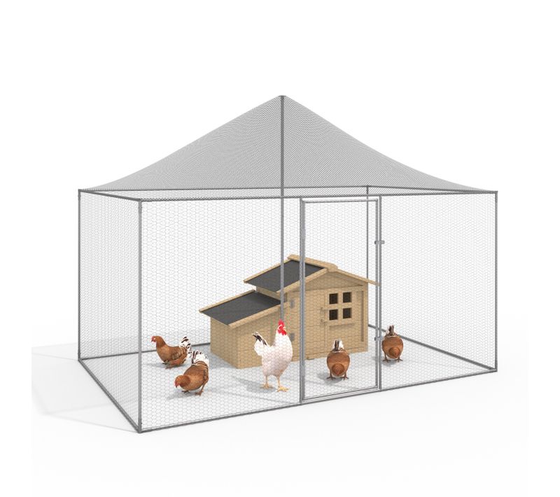 Volière 6 M² Parc Grillagé 3 X 2 M Enclos Poulailler Pour Animaux De Basse Cour