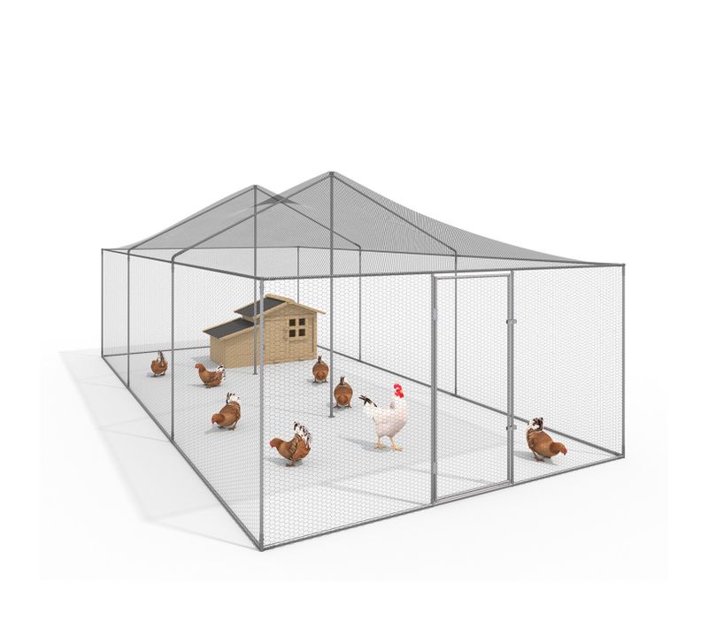 Volière 18 M² Parc Grillagé 6 X 3 M Enclos Poulailler Pour Animaux De Basse Cour