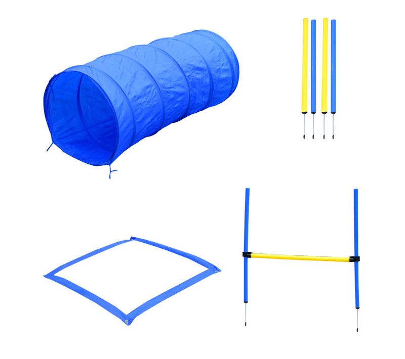 Équipement Complet Agility Sport Pour Chiens Bleu Jaune